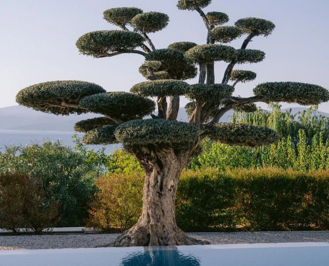Hiddenbay Teos Sigacik Hotel, Spa And Restaurants 세페리히사르 호텔